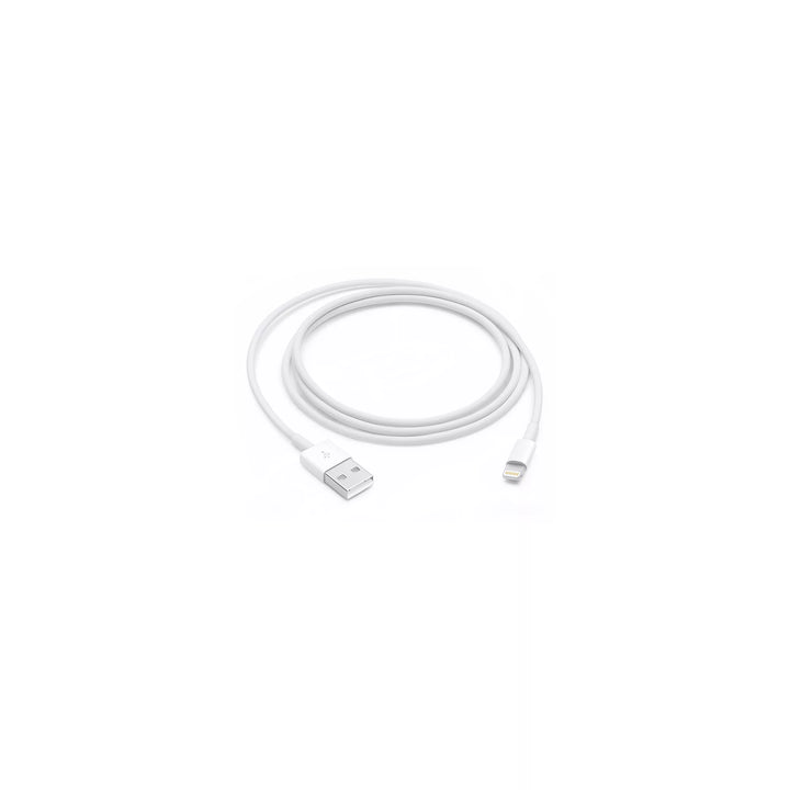 Câble Lightning APPLE vers USB 1m