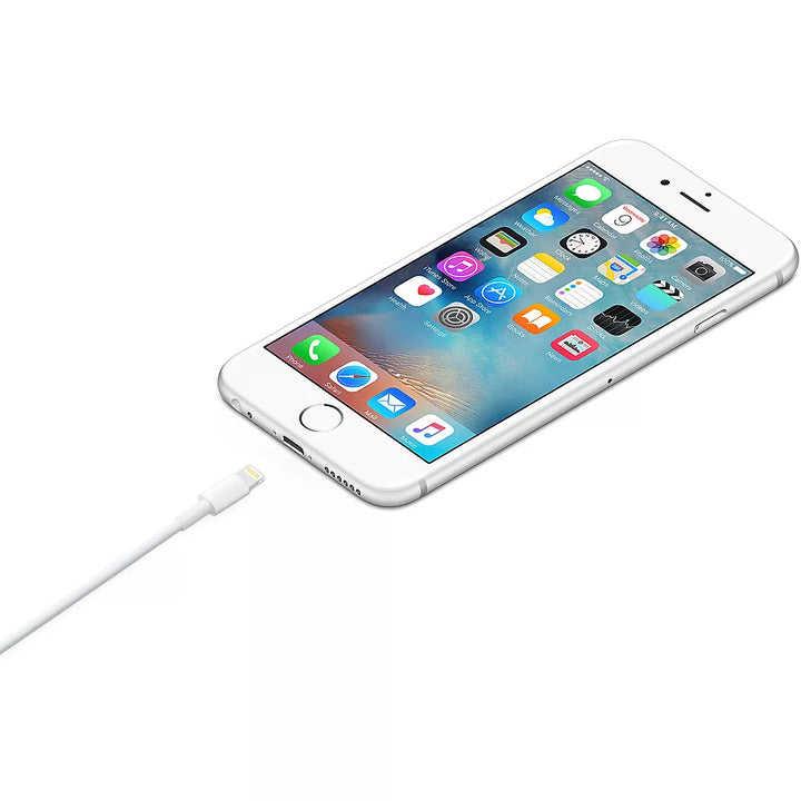 Câble Lightning APPLE vers USB 1m