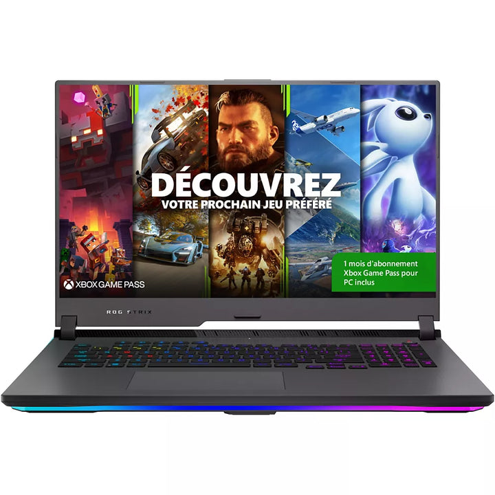 PC Gamer ASUS STRIX-G17-G713QR-HX079T